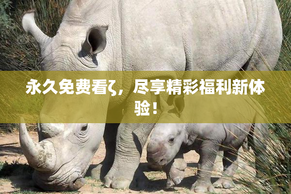永久免费看ζ，尽享精彩福利新体验！