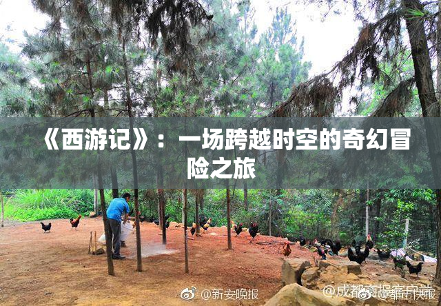 《西游记》：一场跨越时空的奇幻冒险之旅