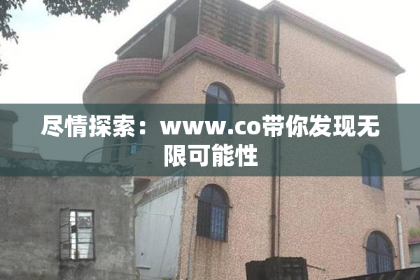 尽情探索：www.co带你发现无限可能性