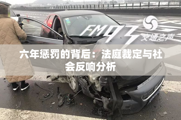 六年惩罚的背后：法庭裁定与社会反响分析