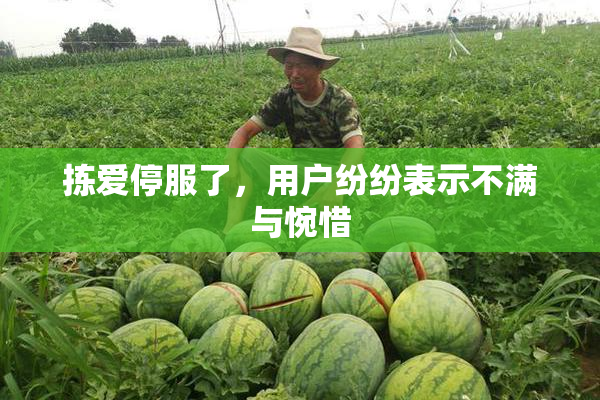 拣爱停服了，用户纷纷表示不满与惋惜