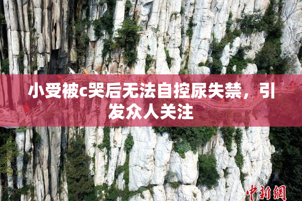 小受被c哭后无法自控尿失禁，引发众人关注