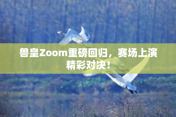 兽皇Zoom重磅回归，赛场上演精彩对决！