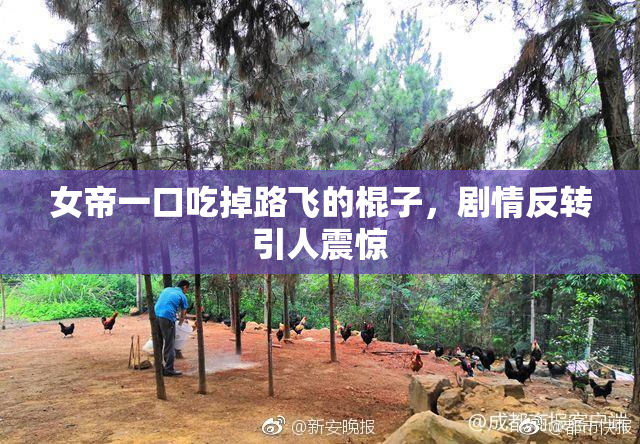 女帝一口吃掉路飞的棍子，剧情反转引人震惊
