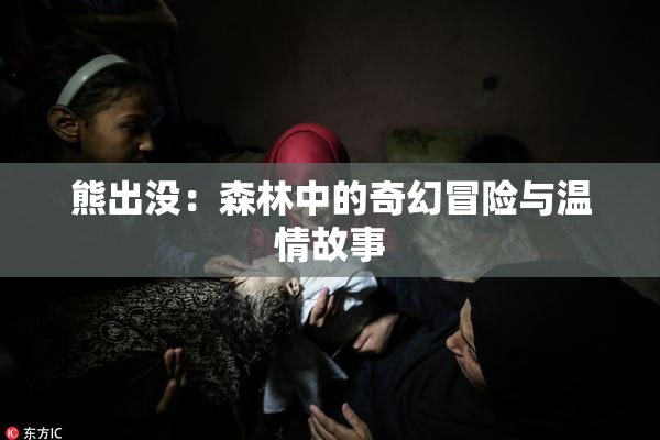熊出没：森林中的奇幻冒险与温情故事