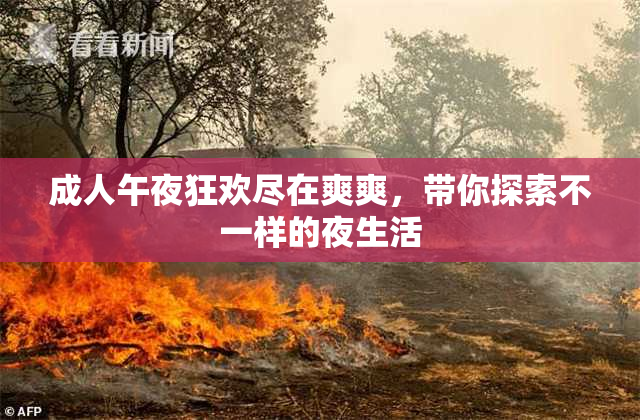 成人午夜狂欢尽在爽爽，带你探索不一样的夜生活