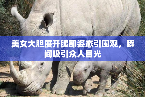 美女大胆展开腿部姿态引围观，瞬间吸引众人目光