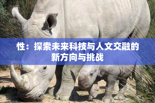 性：探索未来科技与人文交融的新方向与挑战