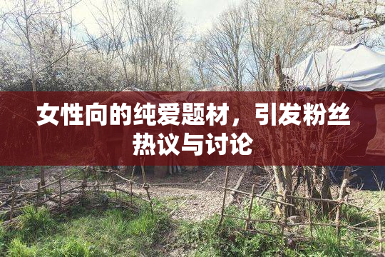 女性向的纯爱题材，引发粉丝热议与讨论