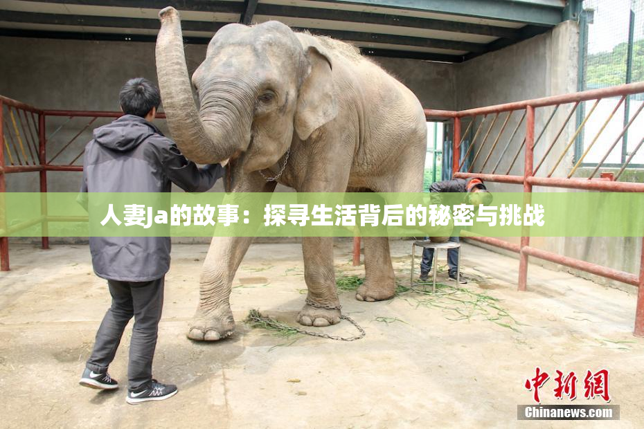 人妻Ja的故事：探寻生活背后的秘密与挑战