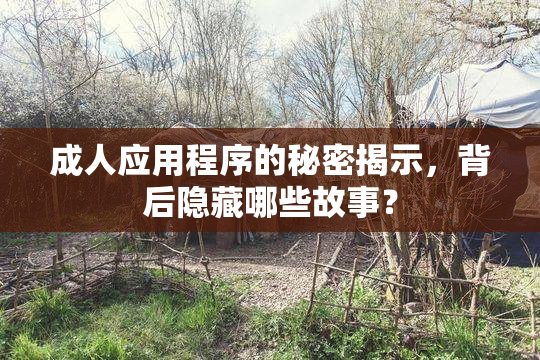成人应用程序的秘密揭示，背后隐藏哪些故事？