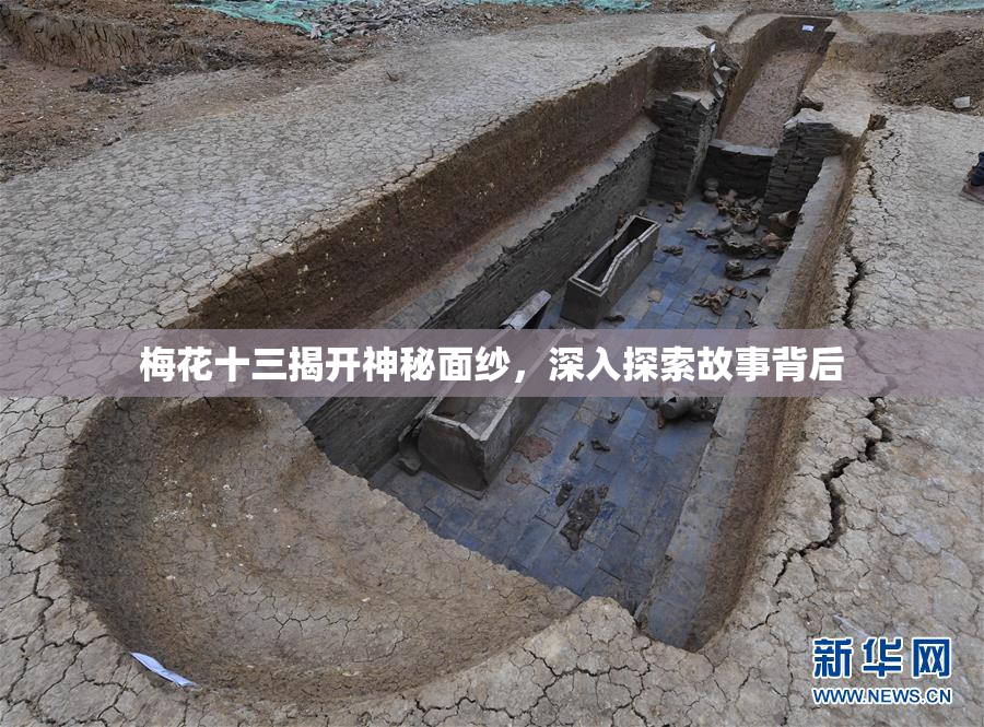 梅花十三揭开神秘面纱，深入探索故事背后