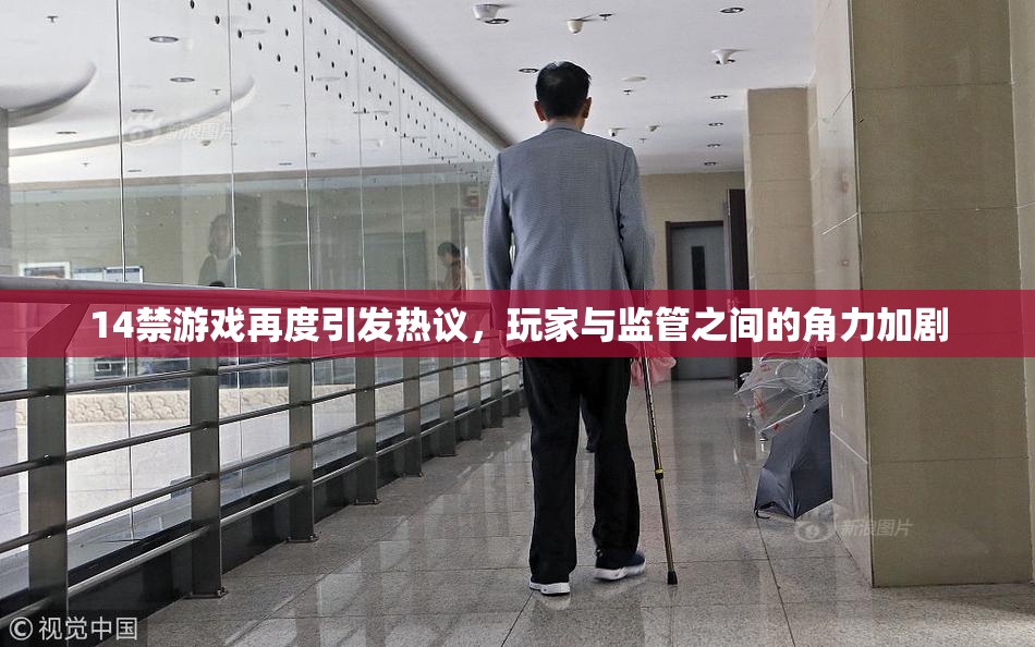 14禁游戏再度引发热议，玩家与监管之间的角力加剧