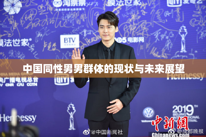中国同性男男群体的现状与未来展望