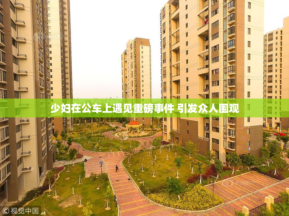 少妇在公车上遇见重磅事件 引发众人围观