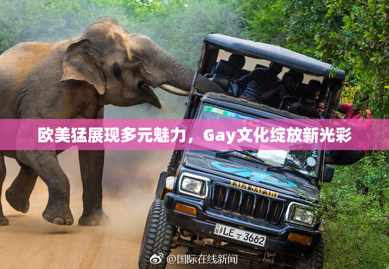 欧美猛展现多元魅力，Gay文化绽放新光彩
