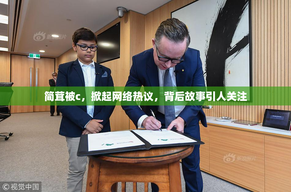简茸被c，掀起网络热议，背后故事引人关注