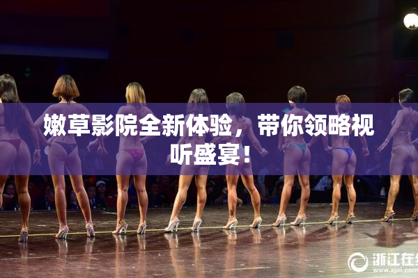 嫩草影院全新体验，带你领略视听盛宴！