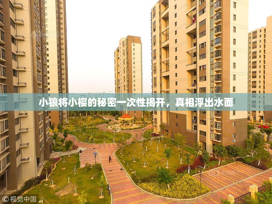 小狼将小樱的秘密一次性揭开，真相浮出水面