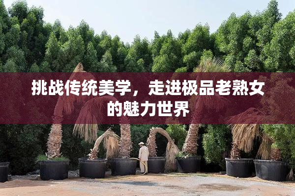 挑战传统美学，走进极品老熟女的魅力世界