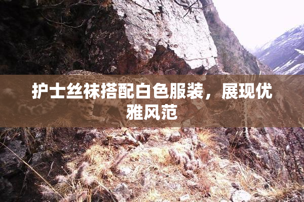 护士丝袜搭配白色服装，展现优雅风范
