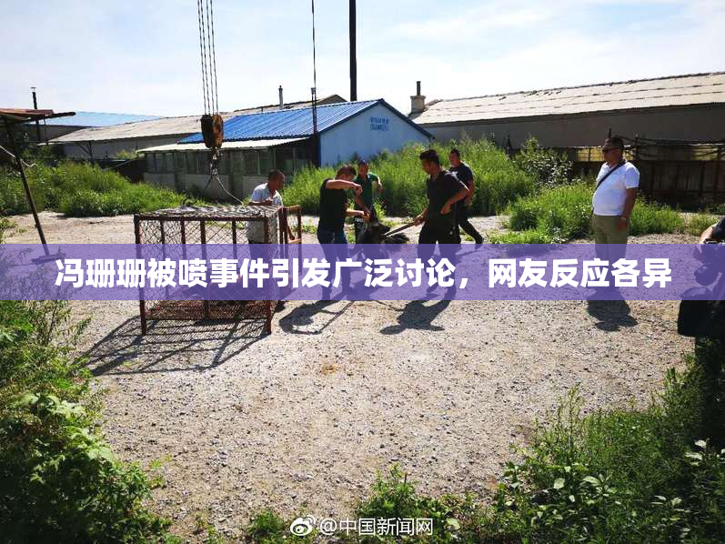 冯珊珊被喷事件引发广泛讨论，网友反应各异