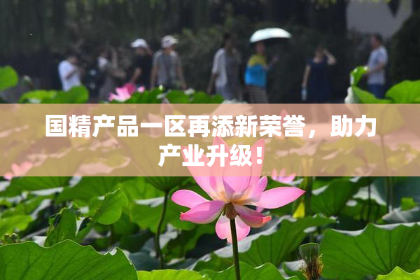 国精产品一区再添新荣誉，助力产业升级！