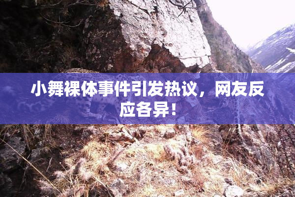小舞裸体事件引发热议，网友反应各异！