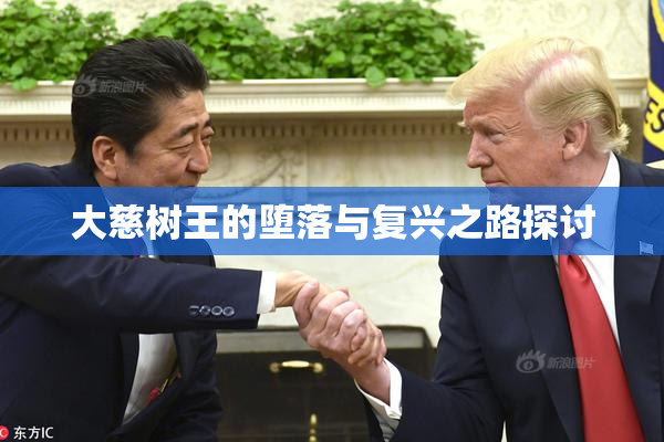 大慈树王的堕落与复兴之路探讨