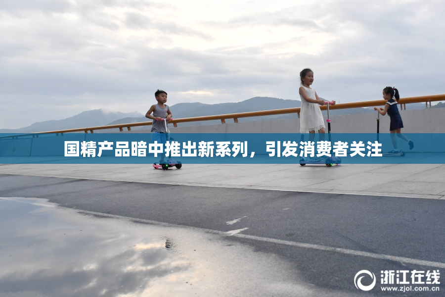 国精产品暗中推出新系列，引发消费者关注