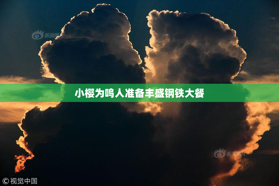 小樱为鸣人准备丰盛钢铁大餐