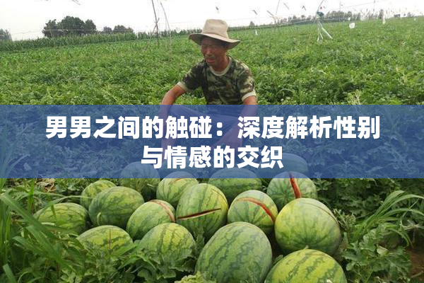 男男之间的触碰：深度解析性别与情感的交织