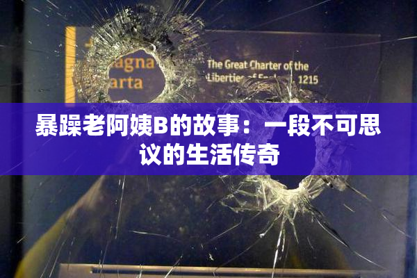 暴躁老阿姨B的故事：一段不可思议的生活传奇