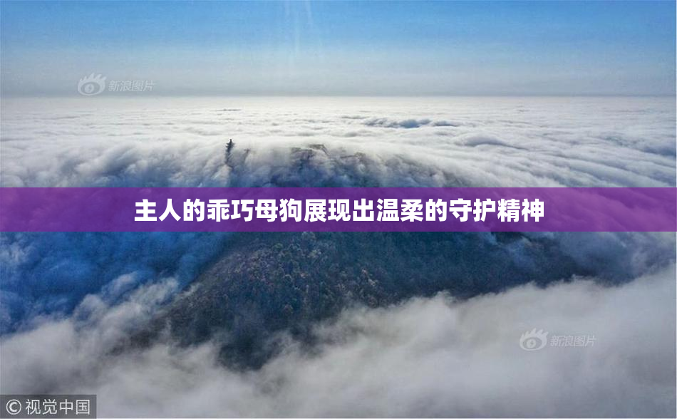 主人的乖巧母狗展现出温柔的守护精神