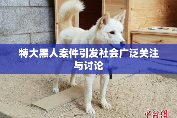 特大黑人案件引发社会广泛关注与讨论