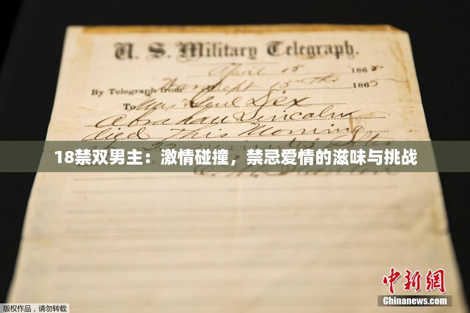 18禁双男主：激情碰撞，禁忌爱情的滋味与挑战