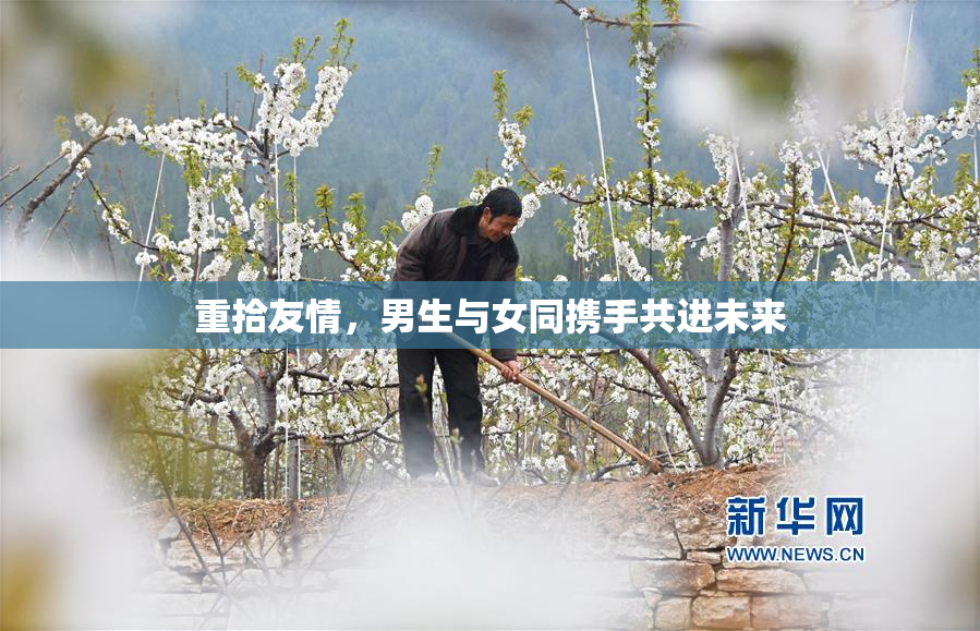 重拾友情，男生与女同携手共进未来