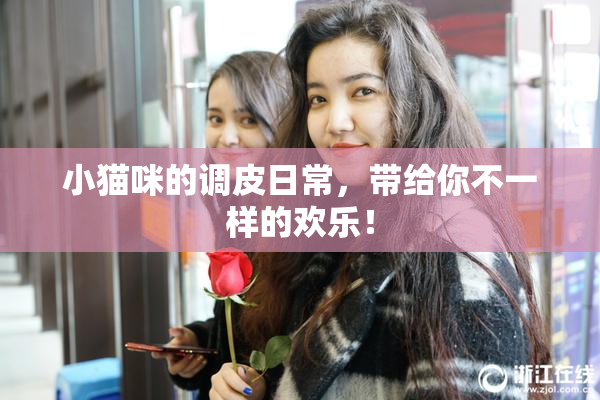 小猫咪的调皮日常，带给你不一样的欢乐！