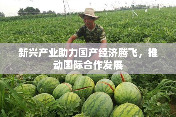 新兴产业助力国产经济腾飞，推动国际合作发展