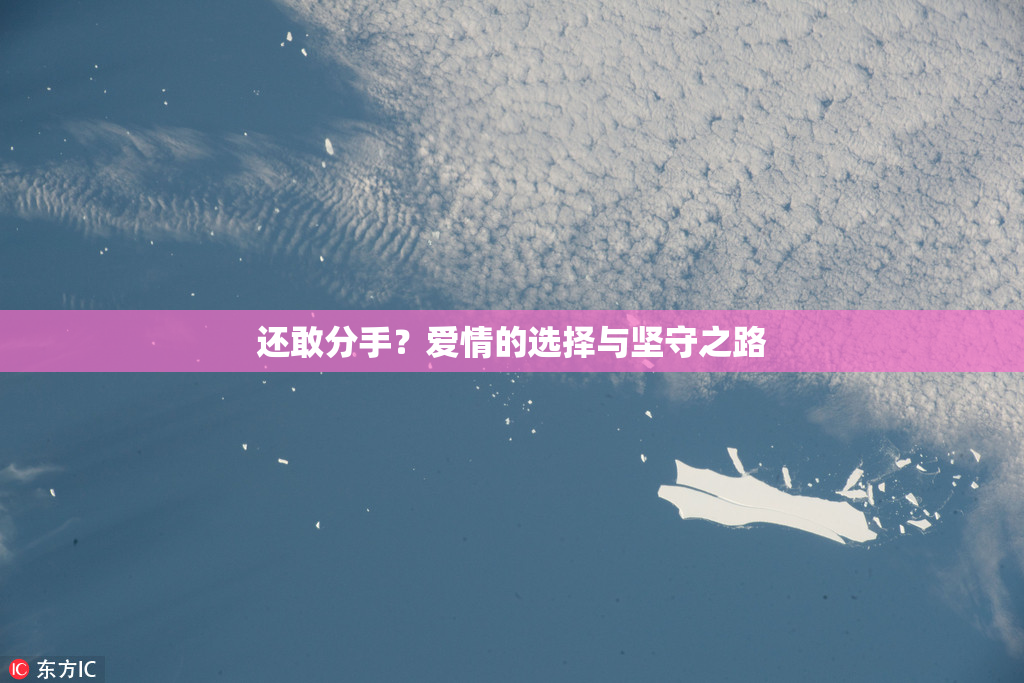 还敢分手？爱情的选择与坚守之路