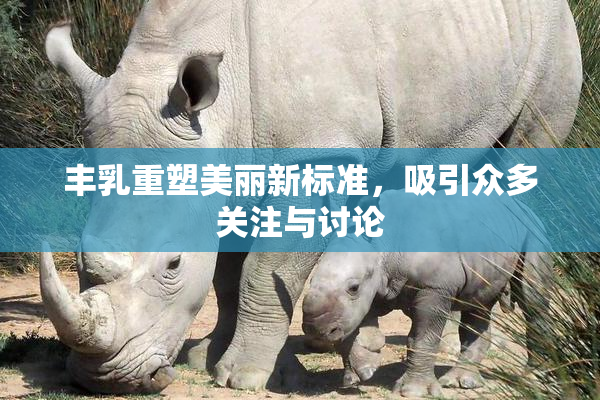 丰乳重塑美丽新标准，吸引众多关注与讨论