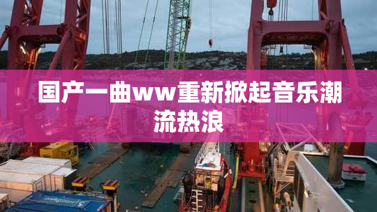 国产一曲ww重新掀起音乐潮流热浪