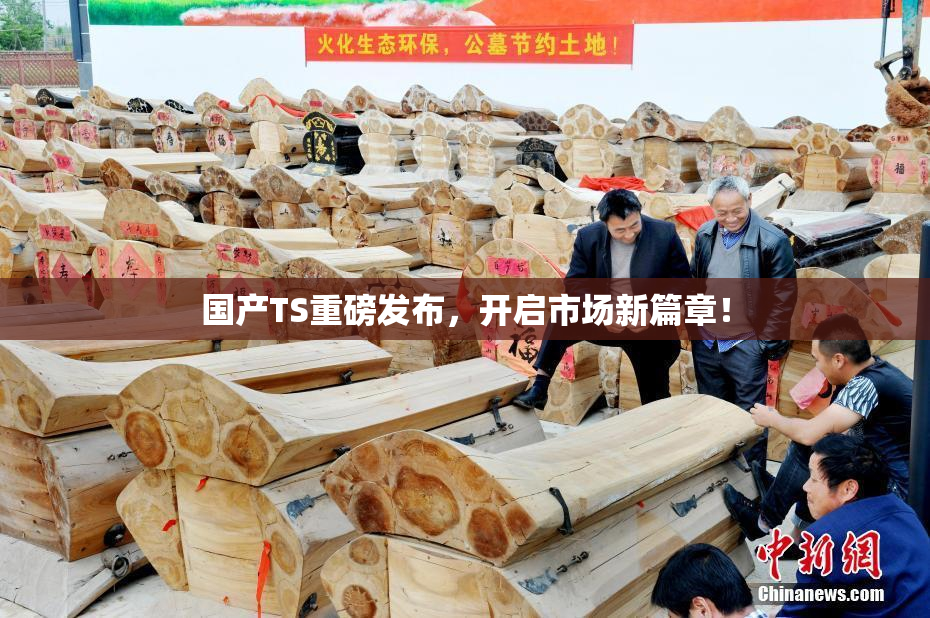 国产TS重磅发布，开启市场新篇章！