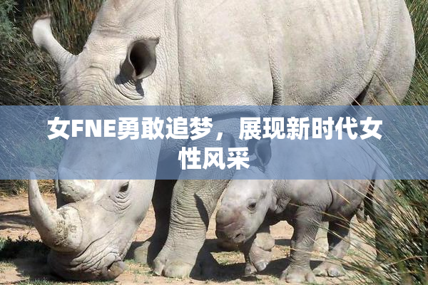 女FNE勇敢追梦，展现新时代女性风采