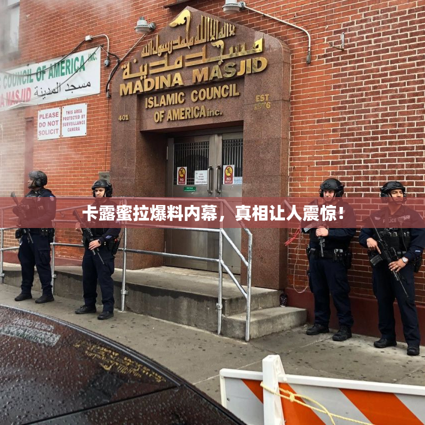 卡露蜜拉爆料内幕，真相让人震惊！