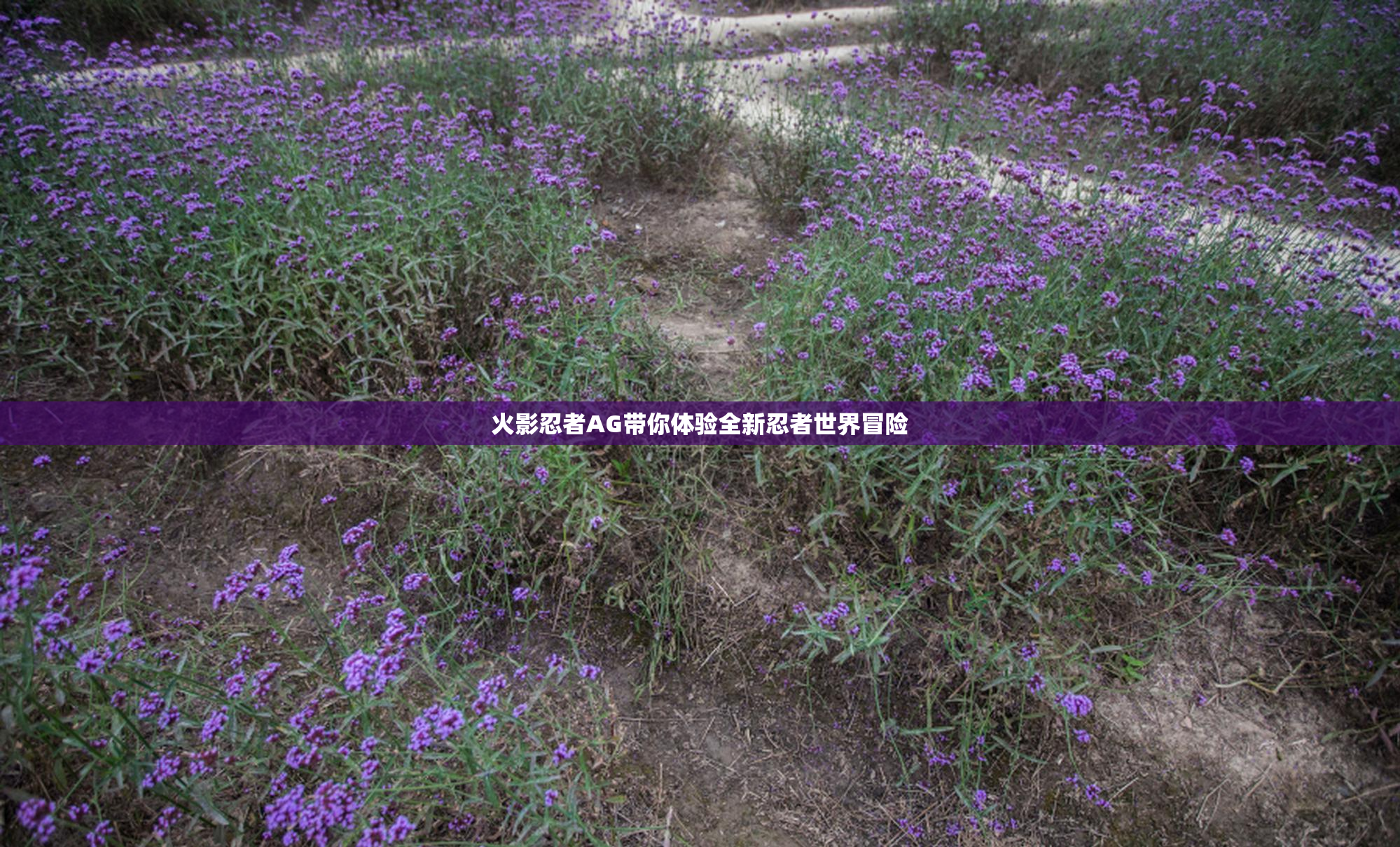 火影忍者AG带你体验全新忍者世界冒险