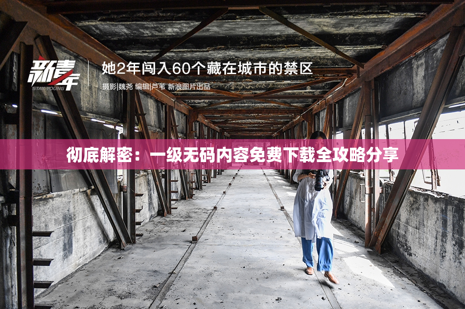 彻底解密：一级无码内容免费下载全攻略分享