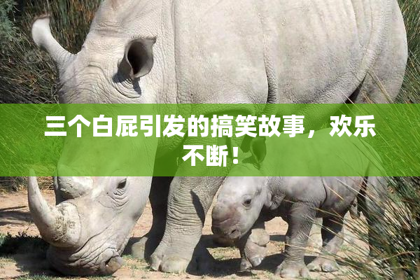 三个白屁引发的搞笑故事，欢乐不断！