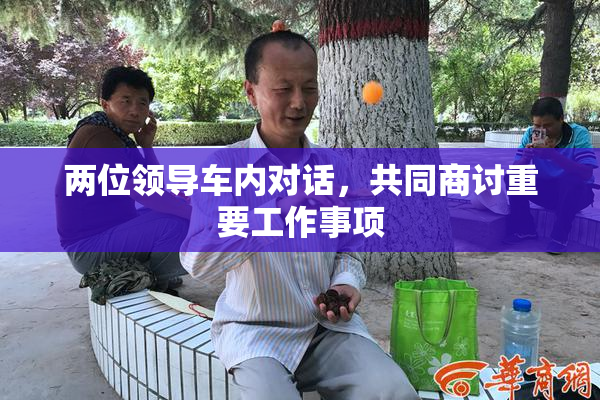 两位领导车内对话，共同商讨重要工作事项
