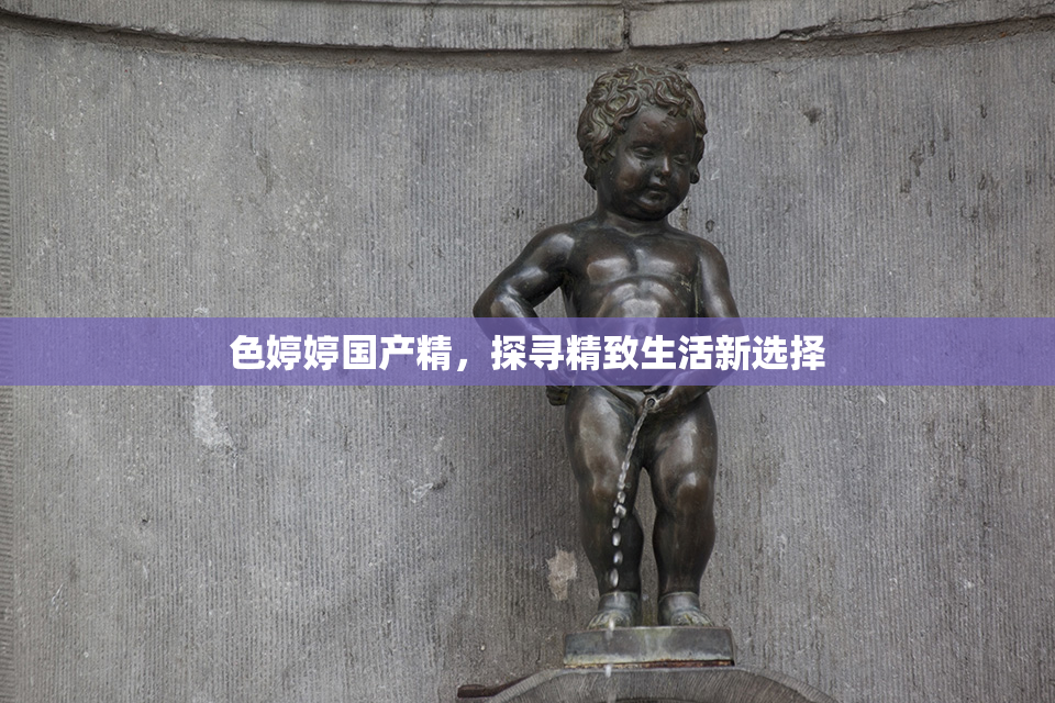 色婷婷国产精，探寻精致生活新选择